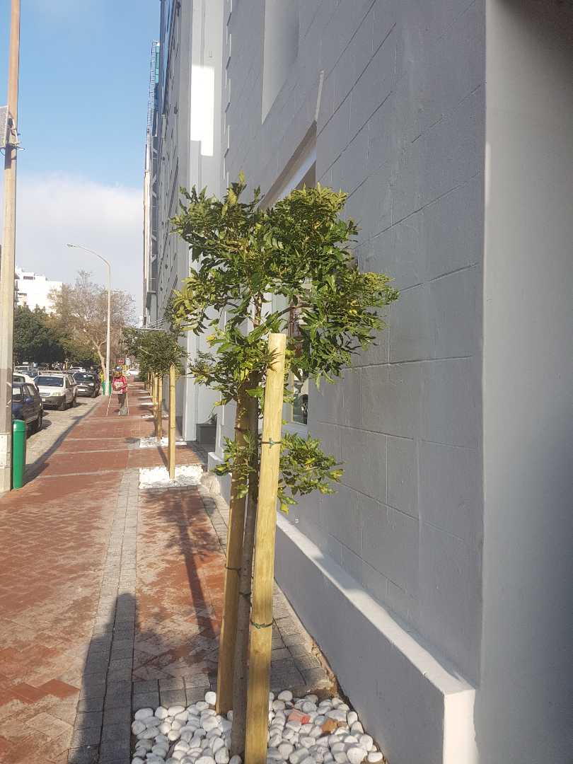 To Let commercial Property for Rent in Cape Town City Centre Western Cape